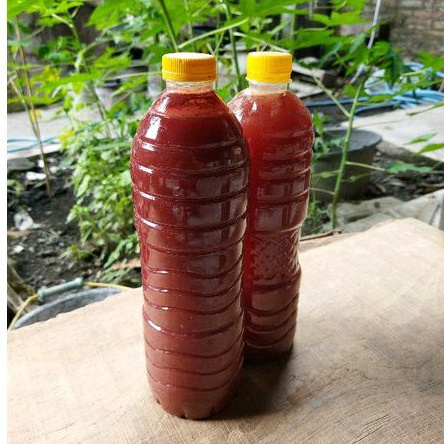 Psb fotosintesis bakteri