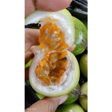 

1kg buah markisa tua/saplora kampung