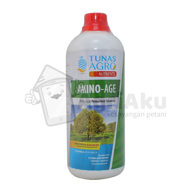 Amino-Age 1L