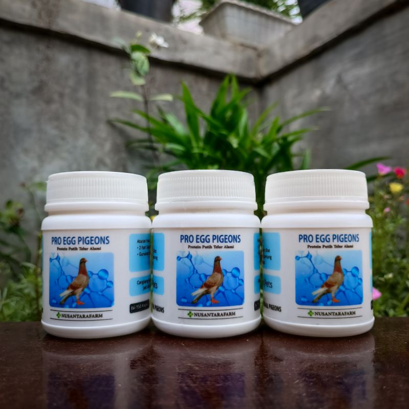 pro egg pigeons 150 kapsul by nusantara farm pembentuk otot sprinter merpati jantung suplemen dara m