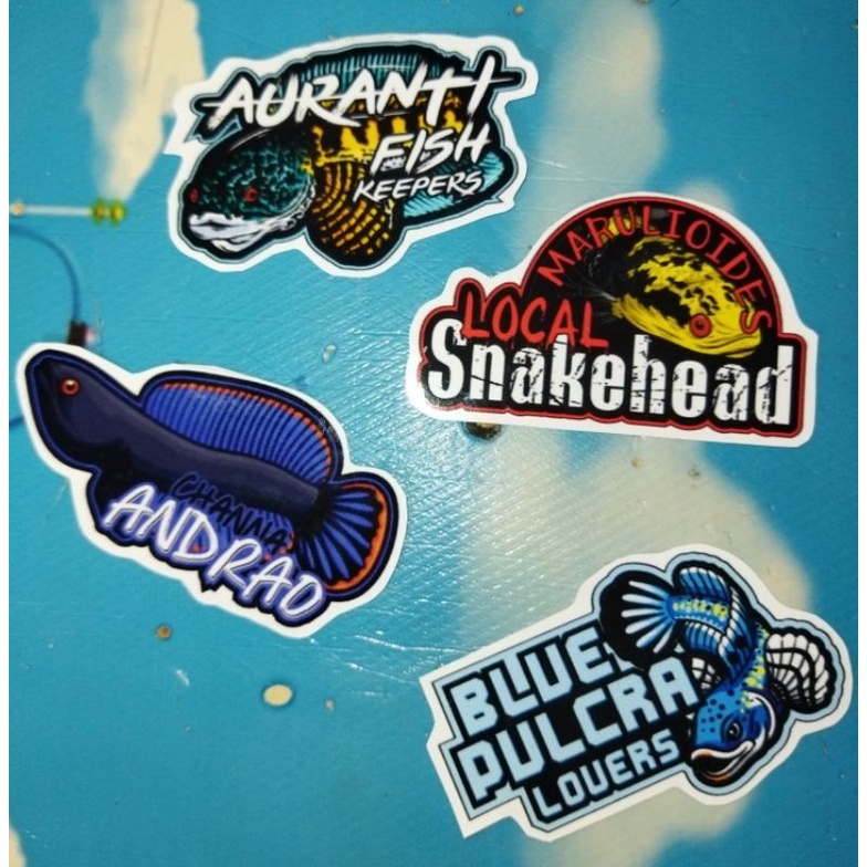 stiker_mini ikan galak/channa anti. air mantap