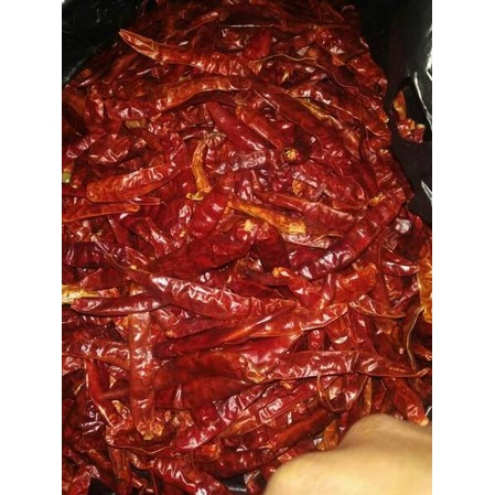 

kode8p3Od--CABE KERING TEJA, RAWIT PEDAS kering