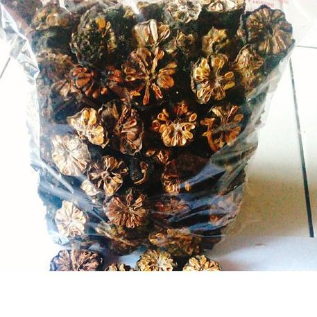 

Diskon✔️Buah Mengkudu Kering 250 Gram|RA6