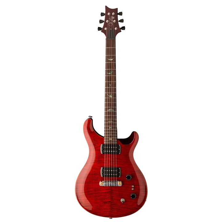 PRS SE Paul's Guitar