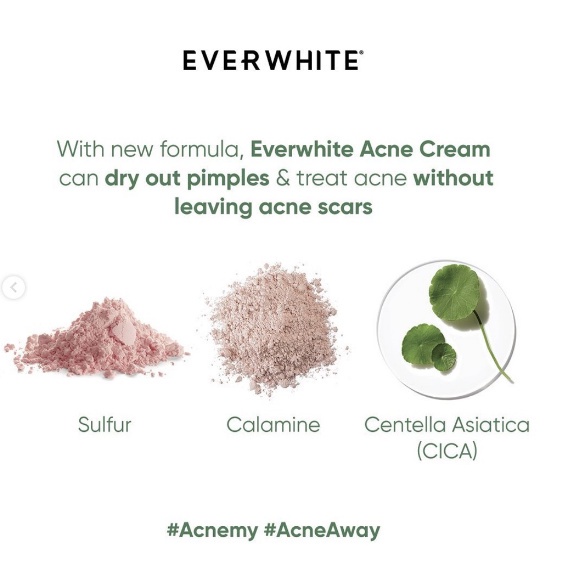 ORIGINAL EVERWHITE Acnepair Cream 15gr / Acne Skin Tretament /  Obat Jerawat / LEDI MART