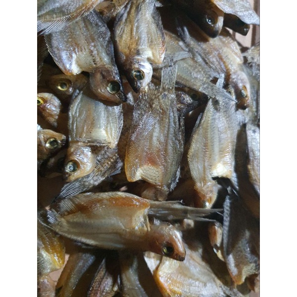 

Ikan-AsinSepat