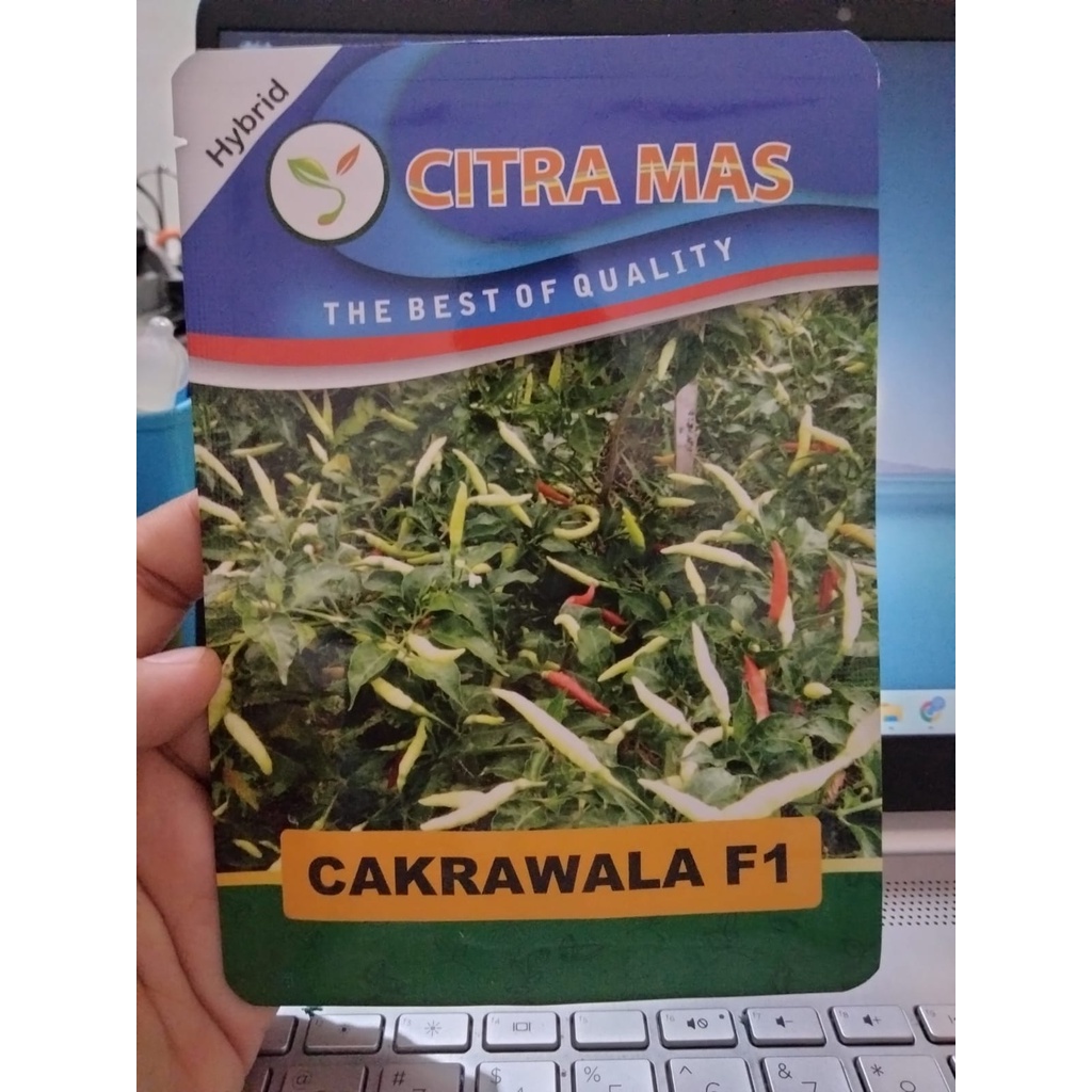 Cabe Rawit Cakrawala F1 10 gr