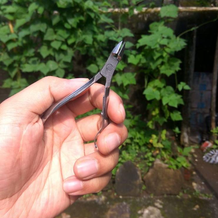 Viral Gunting Tang Catok Bonsai Mame Untuk Tangkai Kecil Bonsai