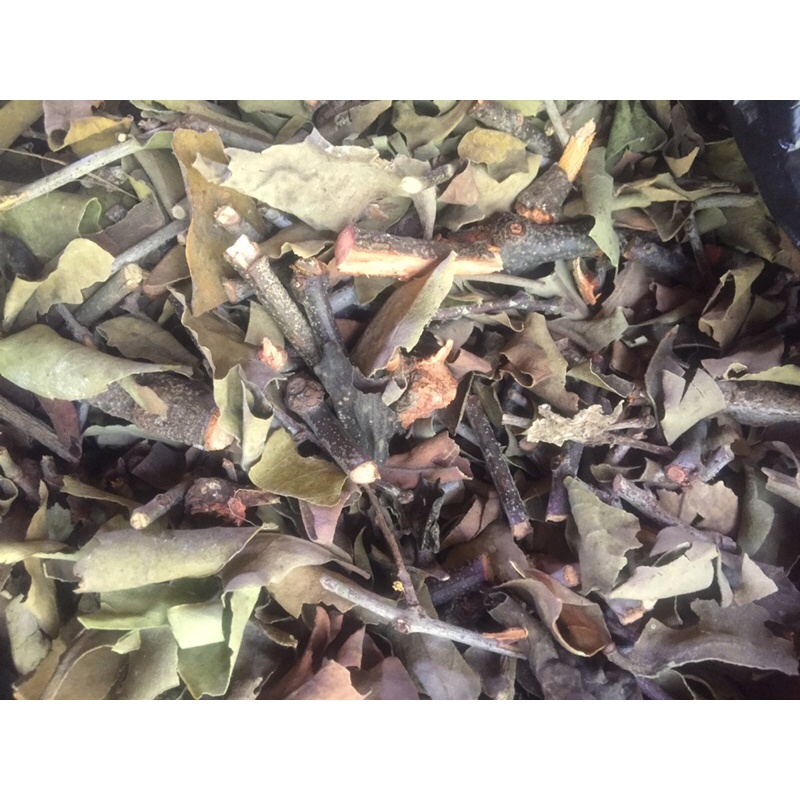 

benalu jeruk nipis kering original 500gr