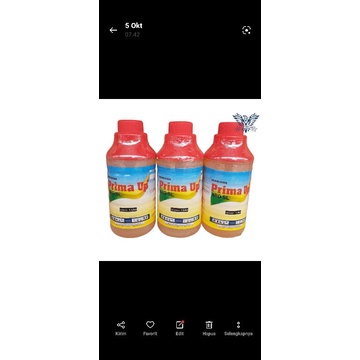 PRIMA UP 480SL 1LIter