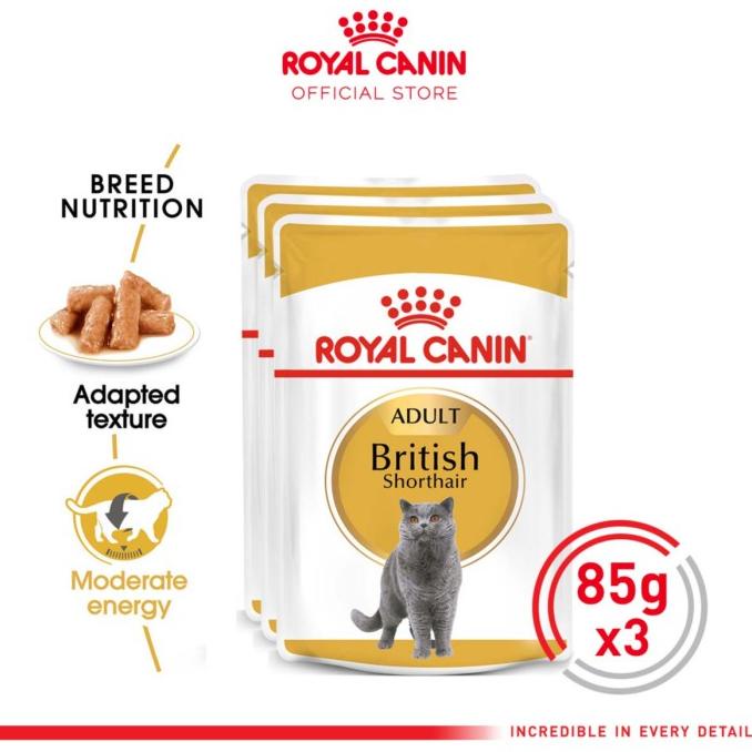 Royal Canin Adult British Shorthair Makanan Kucing Dewasa Wet 3x85gr