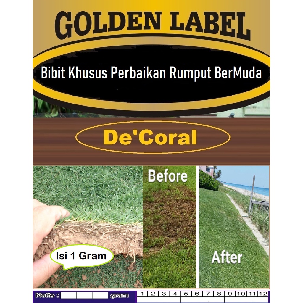 Bibit Khusus Perbaikan Rumput Bermuda | Bibit Perawatan Rumput Bermuda
