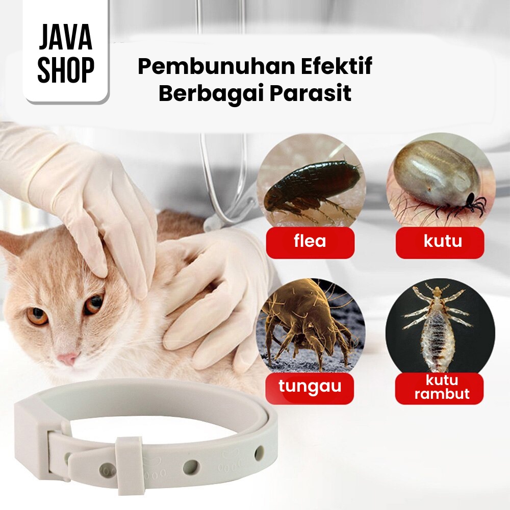 JAVASHOP Kalung Anti Kutu Kucing Anjing Hewan Kesayangan