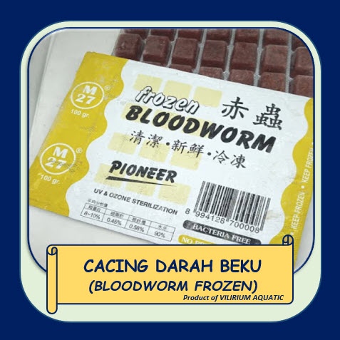PAKAN IKAN HIAS - CACING BEKU / FROZEN BLOODWORM (PAKAN IKAN PREDATOR) PIONEER