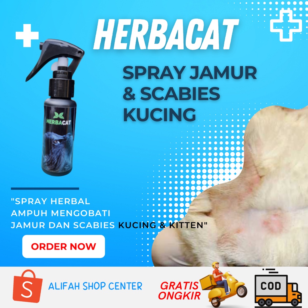 Jual Obat Jamur Kucing Spray Tinggal Semprot Jamur Rontok Aman Teruji