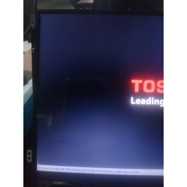 LCD Layar Notebook 11,6 Inchi 40Pin Slim