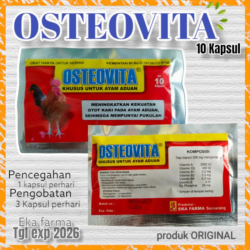 Osteovita ayam obat pengaut otot kaki ayam eka farma