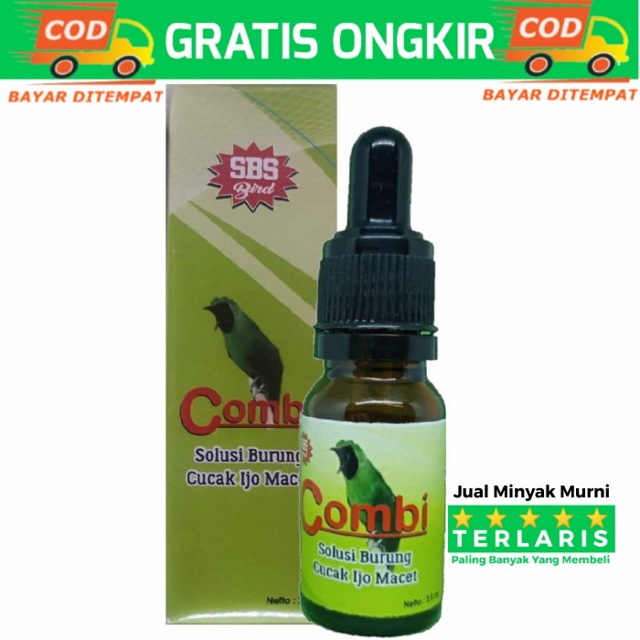 SBS Bird Solusi Burung Macet Jadi Bunyi