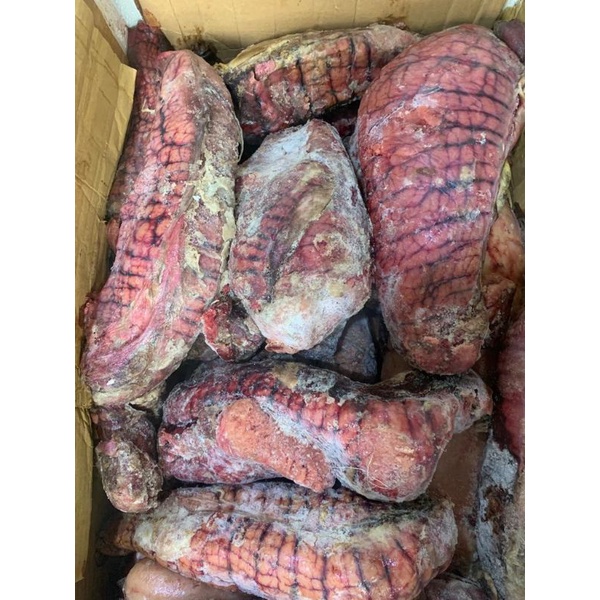 

otak sapi