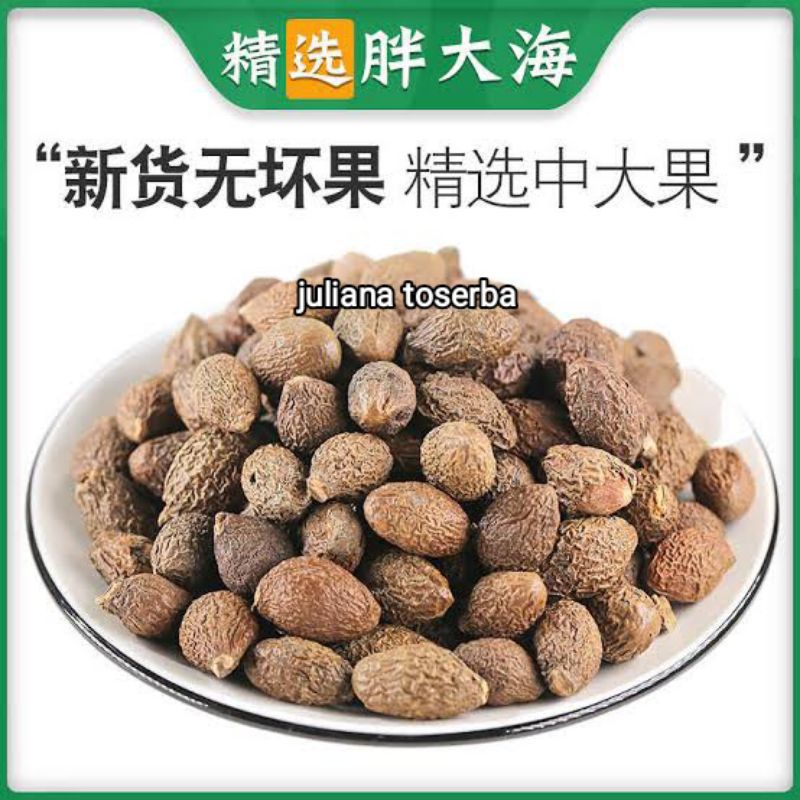 

Tempayang Asli Malva Nut Tempoyan Buah Kembang Semangkuk Besar 胖大海 Seed Sterculia Lychnophora 50 gram