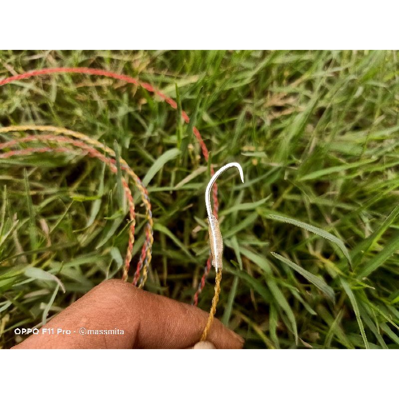 PANCING BELUT | urek belut pancing belut sawah pancing belut empang