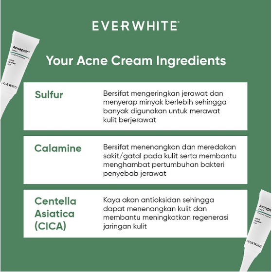 ORIGINAL EVERWHITE Acnepair Cream 15gr / Acne Skin Tretament /  Obat Jerawat / LEDI MART