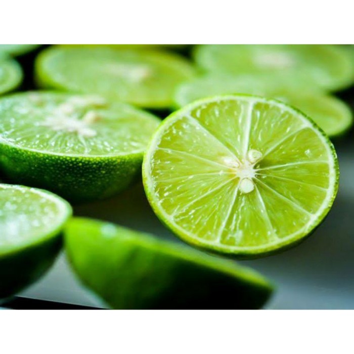 Terbaru Bibit Jeruk Nipis Jeruk Pecel Bibit Tanaman Buah Jeruk Nipis UNGGULAN