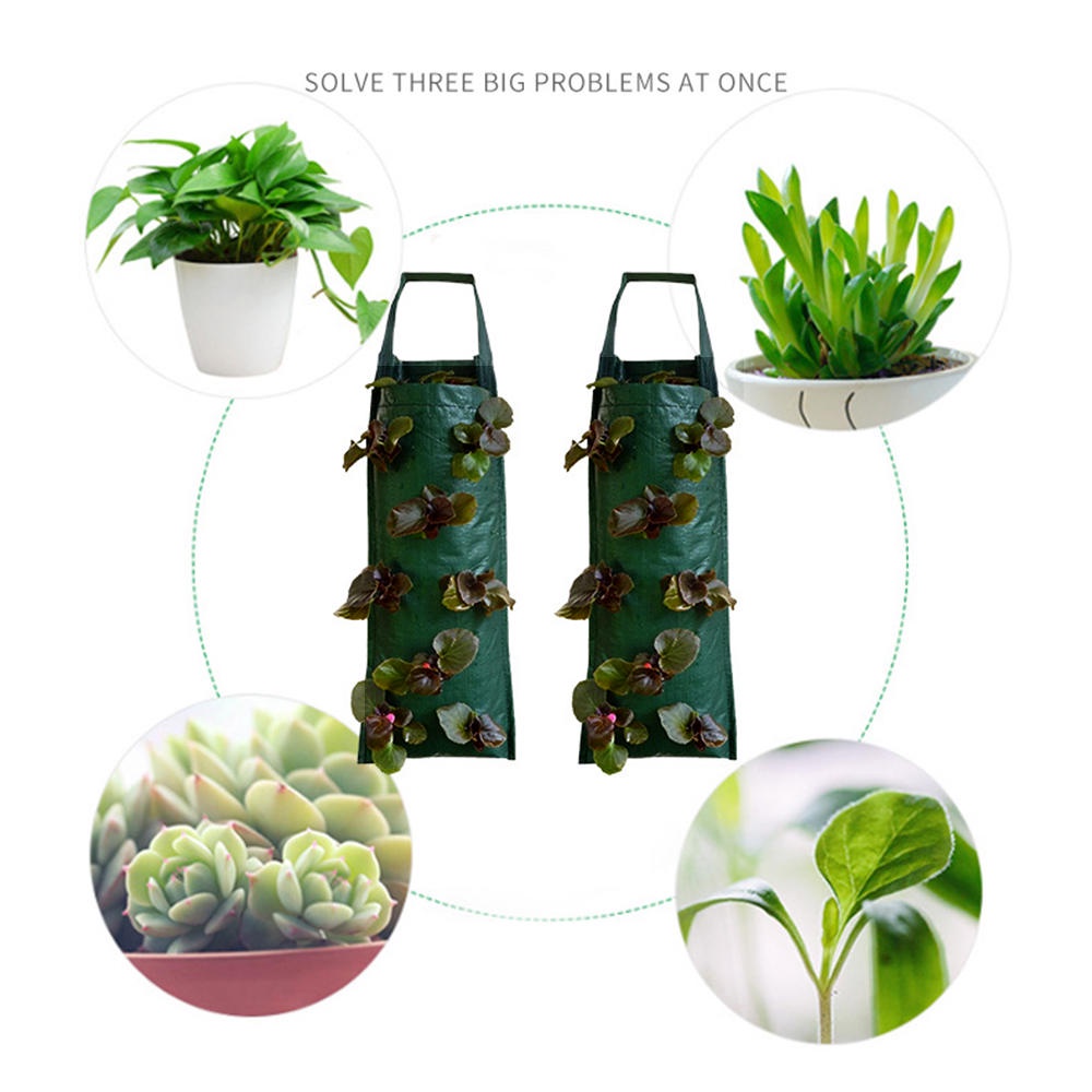 【10 Hole】Wall Planter Bag/Plant Pouch/Planter Bag Dinding/Tanaman Pot Dinding