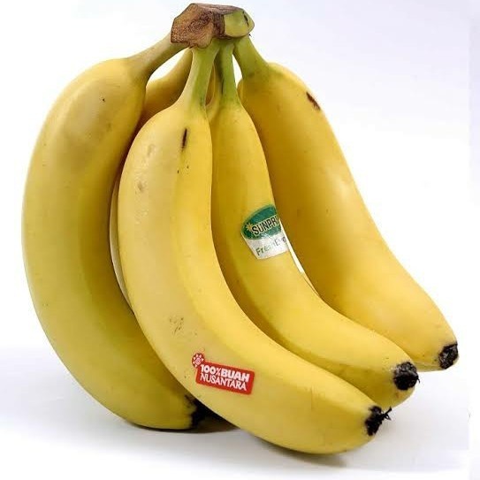 Bibit Tanaman Buah Pisang Cavendish unggul (Berbuah Dalam Pot) UNGGULAN