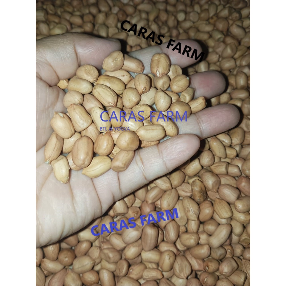 

KACANG TANAH 1/2 KG (500gram)