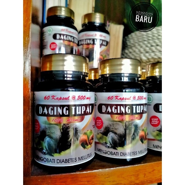Kapsul Daging Tupai - Obat Herbal Diabetes Ampuh
