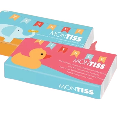 Montis Tissue Kering Travel Pack 50Sheets 2Ply-30Pcs