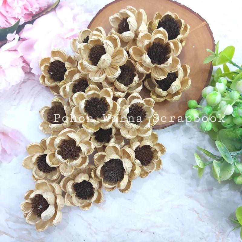 Bunga Klobot Teratai Mangkok / Bunga Klobot jagung