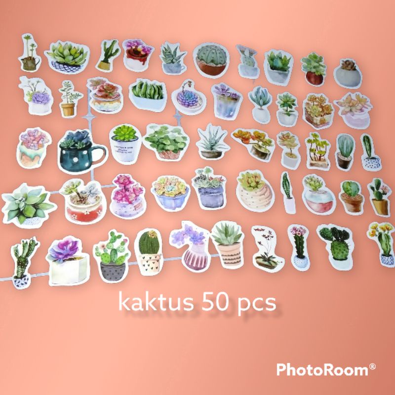 

insfera | stiker | kaktus 01 | 50 pcs