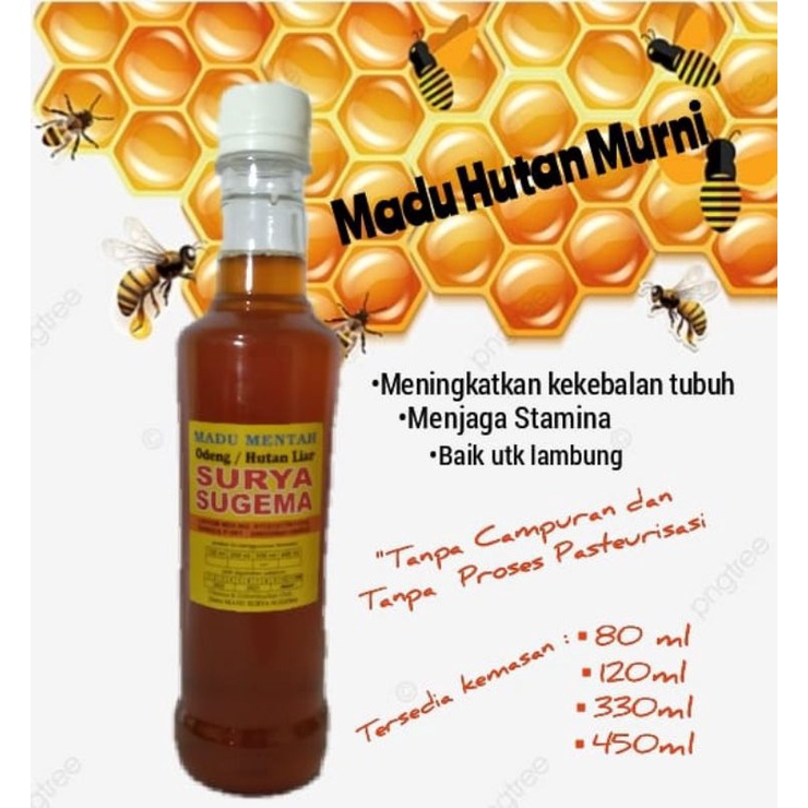 

Madu hutan madu hutan liar madu odeng madu asli madu alami madu murni Surya Sugema