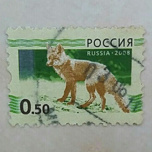 

(AD) Perangko Rúsía 2008 5th Definitive Issue of Rússian Féderation - Red Fox (Vulpes vulpes) 0,50 rubel Used