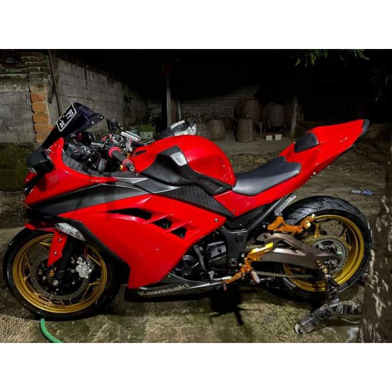Body Ninja 250 fi zx636