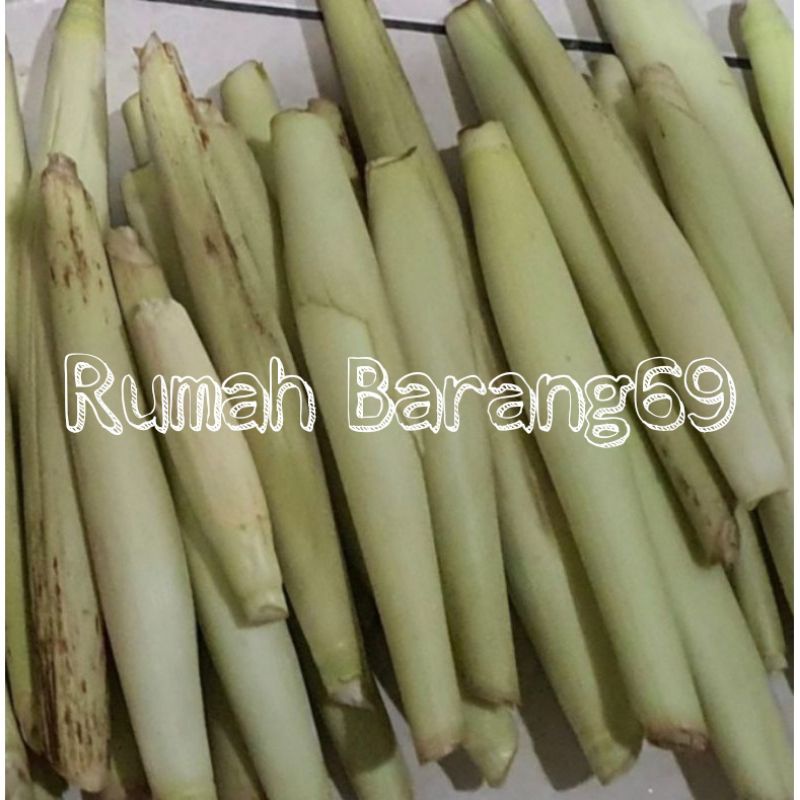

Turubuk segar 1kg