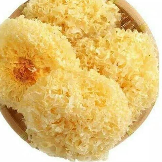 

Terbaik Jamur Salju / Jamur Putih / Snow White Fungus 100g !!