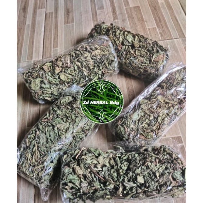 

Daun sena kering daun katemas kering daun patikan mas kering 150gram