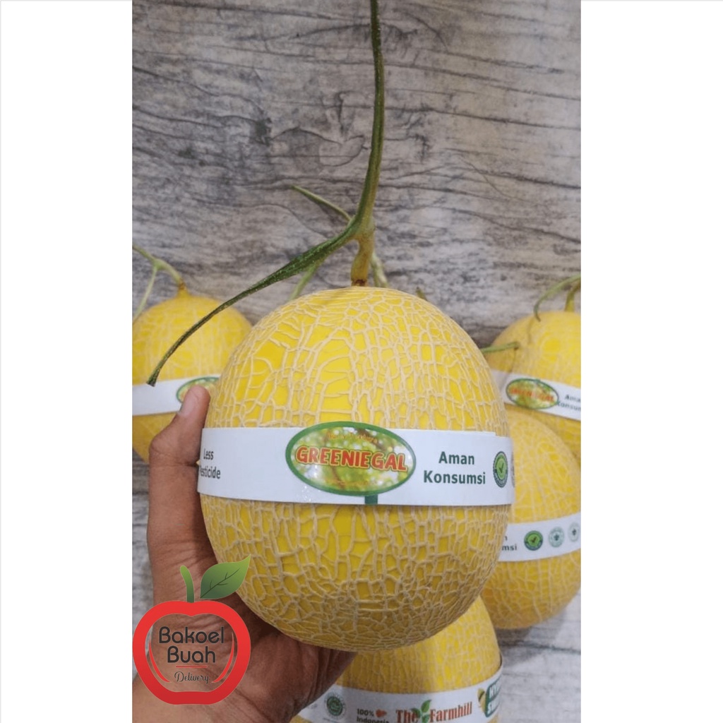 Jual Melon Greenigal Per Buah Shopee Indonesia 