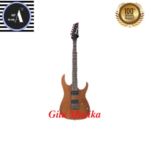 ELECTRIC GITAR IBANEZ RG 421-MOL