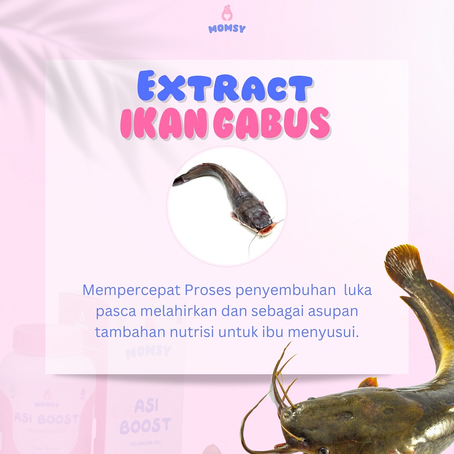 Asi Booster Pelancar Asi MOMSY - 10 Momsy PREMIUM SHOPPING OFFICIAL STORE SHOP