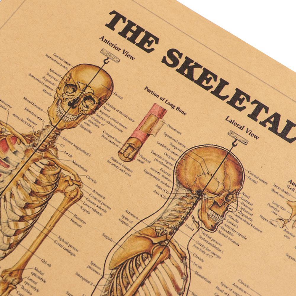 Populer 1pc The Skeleton System DIY Dekorasi Rumah Mural Retro Poster