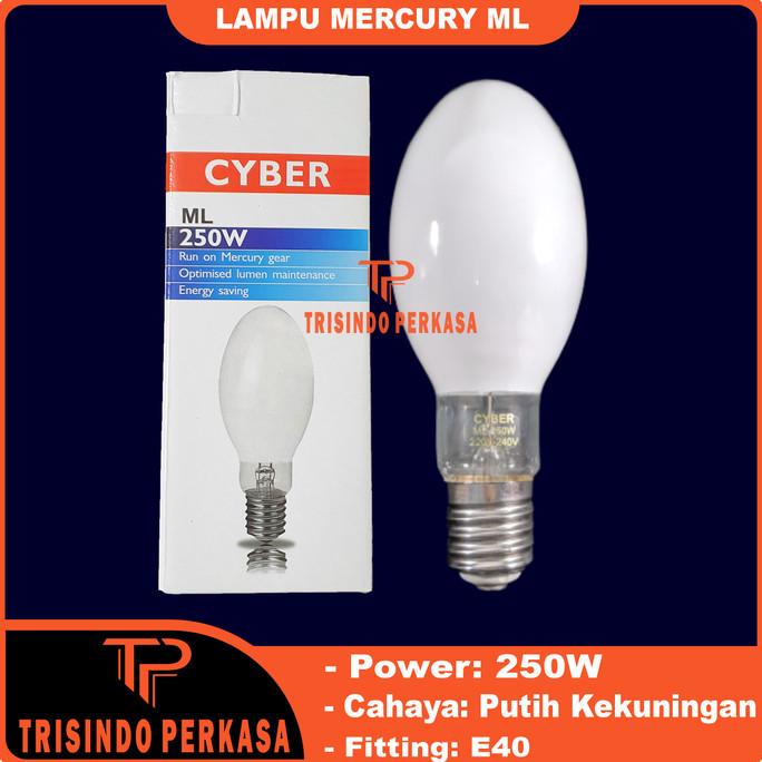 Lampu Mercury ML 250W 250 watt E40 Bola Lampu Jalan