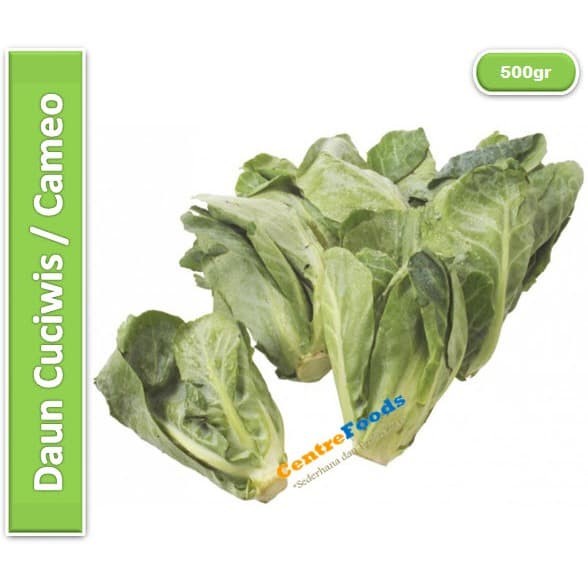 

Sayur Cameo Babby Kol - Daun Cuciwis Fresh | 500gr [ Harga Per 0,5kg ]