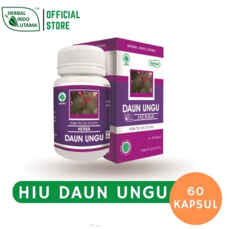 Jual Kapsul Daun Ungu Hiu Atasi Ambein Wasir Herbal Alami Daun Wungu