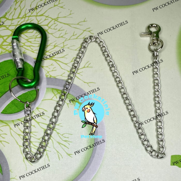 TERLARIS Rantai Burung Sunconure Betet Nuri Pelangi Redlory - Black