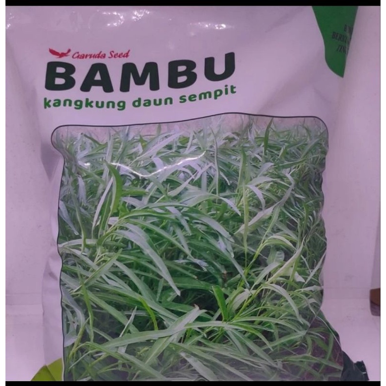 Benih Kangkung Daun Sempit Bambu 1 kg | bibit kangkung daun sempit