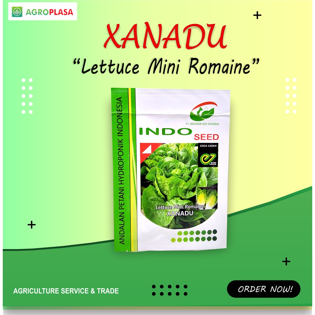 Benih Lettuce Mini Romaine XANADU 5 gr - Indo Seed